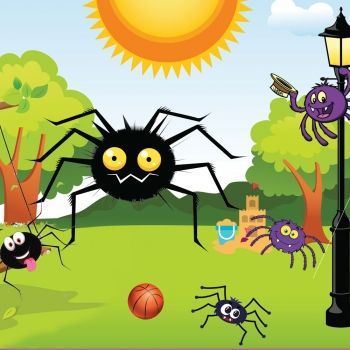 Fábula, La araña ochopatas