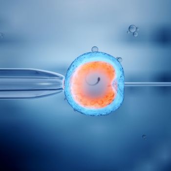 En qué consiste la inseminación artificial para lograr un embarazo