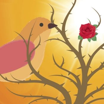 El ruiseñor y la rosa. Cuento para niños sobre el valor de los sentimientos