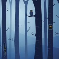 Cuento sobre la razón de que los búhos salgan solo por la noche