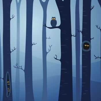 Cuento sobre la razón de que los búhos salgan solo por la noche
