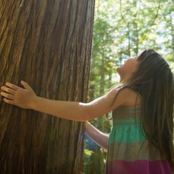 Rutinas para conservar el medio ambiente para los niños