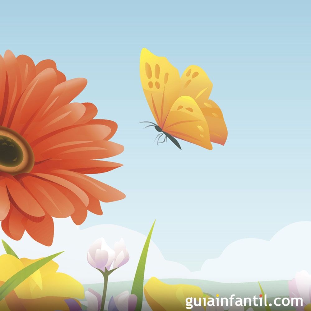 Volando vas mariposa. Poema con rima para niños