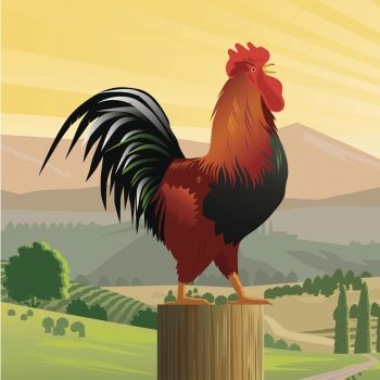 El águila y los gallos. Fábula tradicional para niños