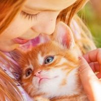 Beneficios para los niños de adoptar un gato