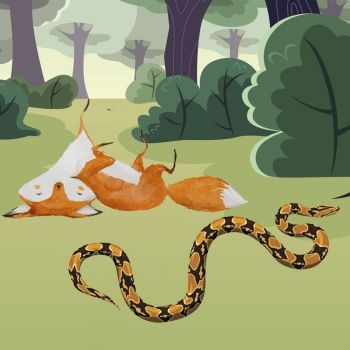 La zorra y la serpiente. Fábula tradicional para niños de Esopo