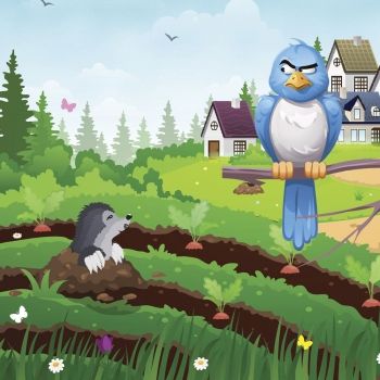 El pájaro cerró el pico. Cuento infantil para enseñar a no criticar