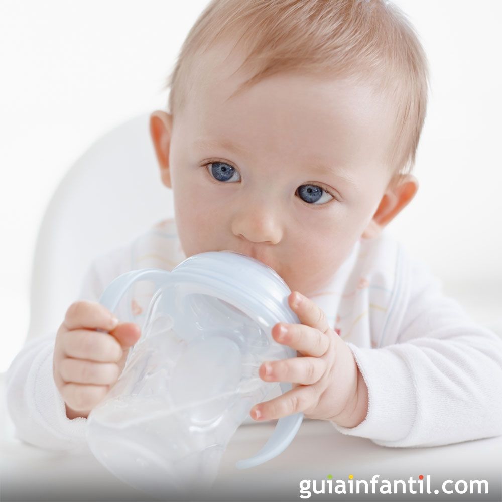 Como Saber Si Mi Bebe Necesita Agua