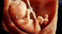 Nuevas ecografías muestran increíbles imágenes de los bebés