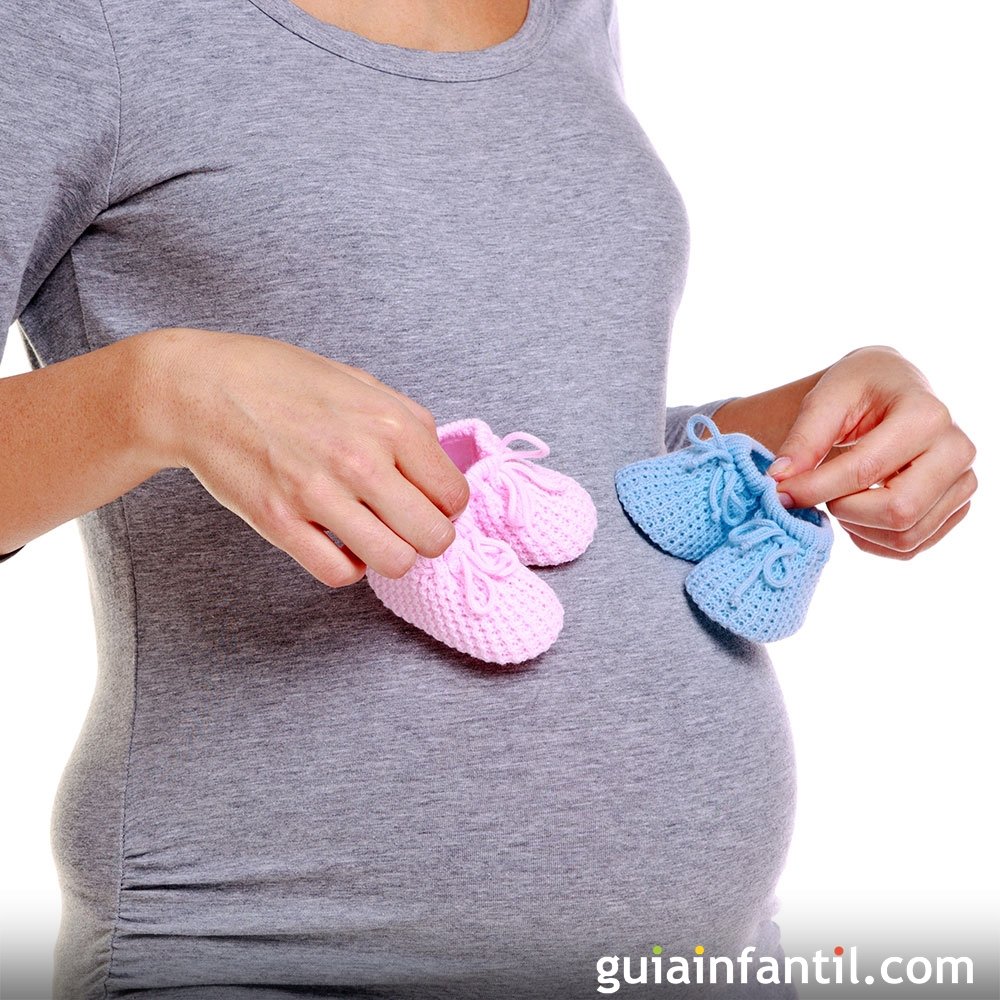 Método de inseminación artificial casera- El blog de