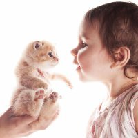 ¿Bebés y gatos pueden convivir juntos?