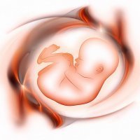 Los sueños del bebé en el vientre de su madre