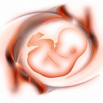 Los sueños del bebé en el vientre de su madre