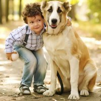 Un animal no debe ser un juguete para los niños