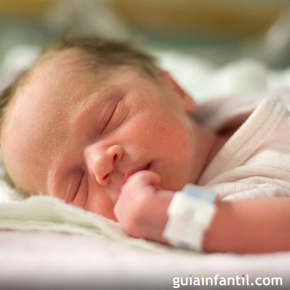Son feos los bebés recién nacidos?