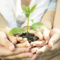 Cómo enseñar a los niños a cuidar de nuestro planeta