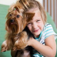 Mejor perros que gatos para la piel de los niños