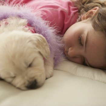 Mamá, ¿para qué sirve dormir?