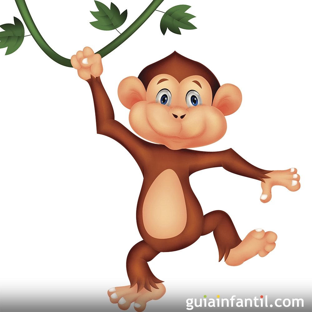 Monkey See Monkey Do. Divierte y inglés a niños