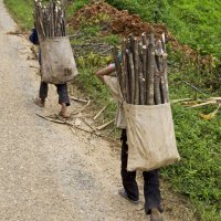Niños trabajando: ¡eso tiene que acabar!
