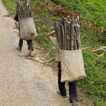 Niños trabajando: ¡eso tiene que acabar!