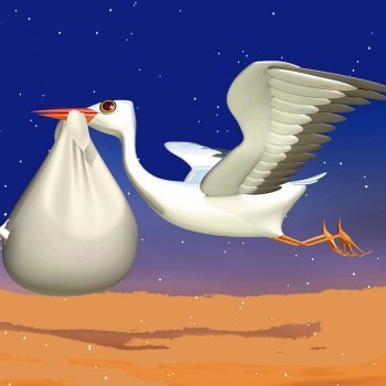 Cómo son hechos y cómo nacen los bebés