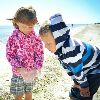 Las medusas y sus picaduras en los niños