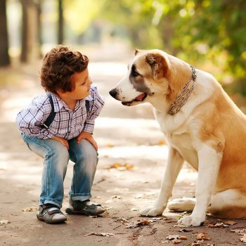 La empatía de los niños hacia los animales