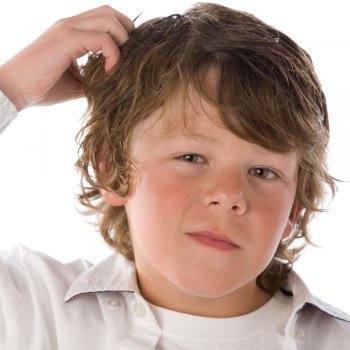 Los piojos: diminutos, pero con mucha personalidad