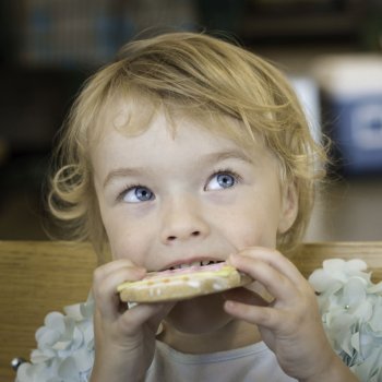 Lo que la comida para niños esconde