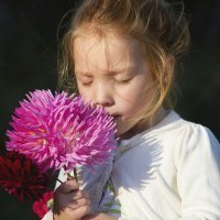 Dalia: un nombre primaveral para una niña que nace en otoño