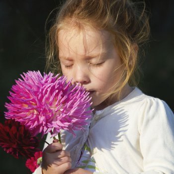 Dalia: un nombre primaveral para una niña que nace en otoño