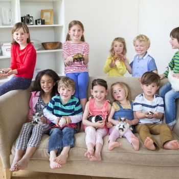 Los niños no deben tener hámsters, erizos ni tortugas en casa