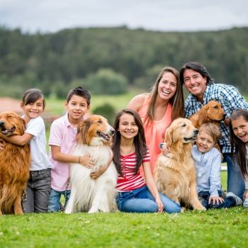 Tener más de 3 hijos y no morir en el intento