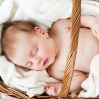 Mi bebé prefiere el moisés