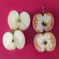 Una maestra explica con dos manzanas qué es el bullying