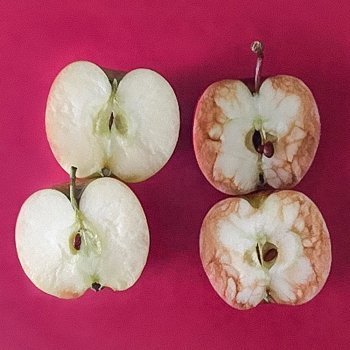 Qué es el bullying - Una maestra lo explica con dos manzanas