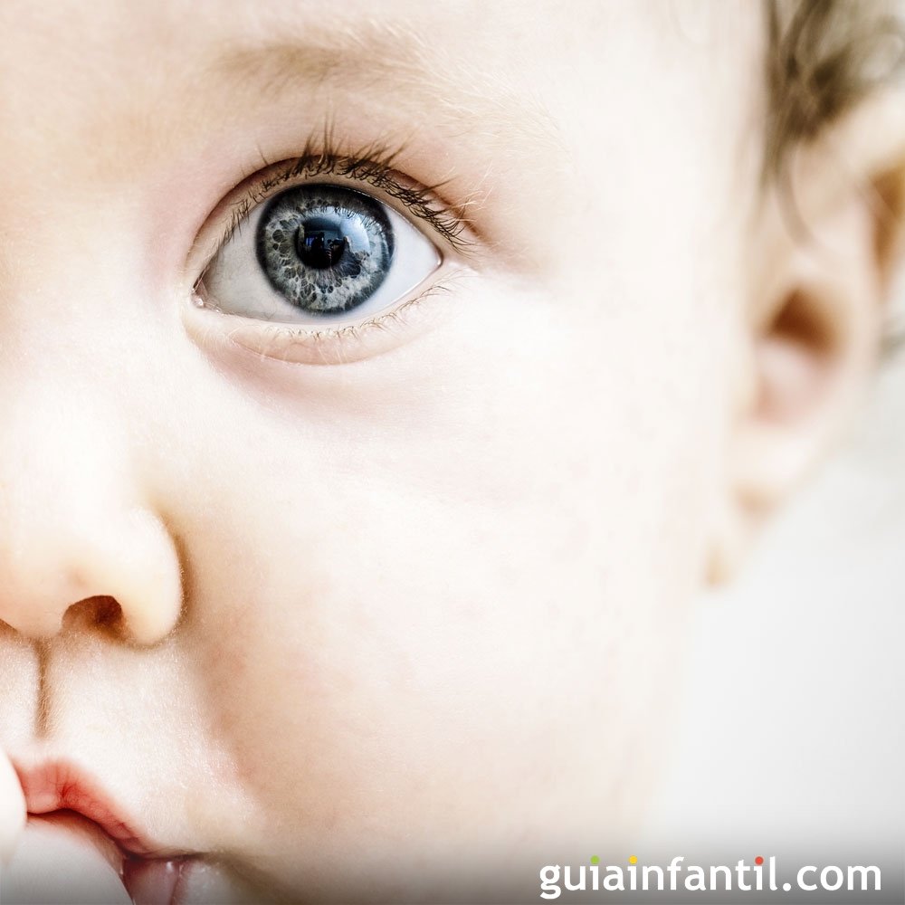 Controlar nitrógeno Anoi 7 curiosidades de los ojos de los niños que no sabías