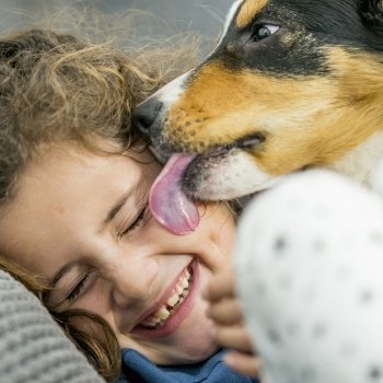 Por qué no debes dejar que tu mascota lama la cara de tu hijo