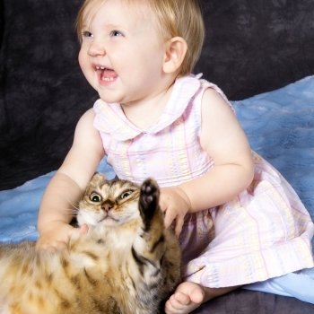 Cuando el niño no trata bien a su mascota