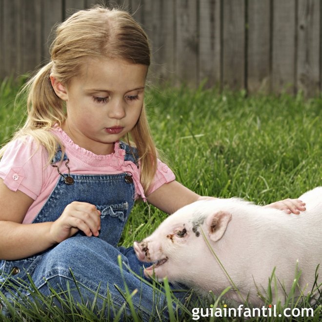 Aprende a dibujar los animales de la granja con los niños