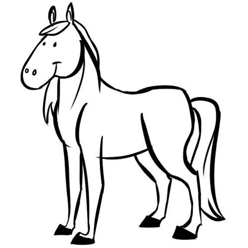 Adivinanza: ¿Cuál es el animal que tiene silla?
