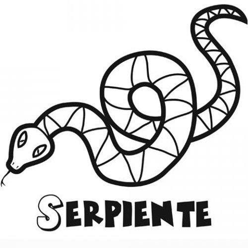 Adivinanza: Es tan grande mi fortuna
