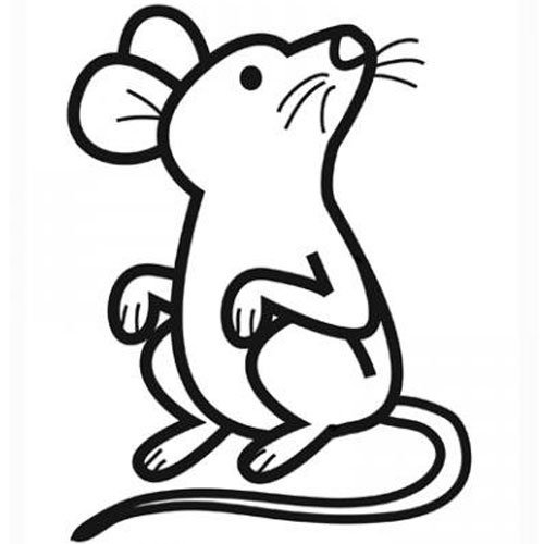 Un Pequeño AdivinanzaSoy Un Pequeño AdivinanzaSoy AdivinanzaSoy Un AdivinanzaSoy Animal Animal Pequeño Animal tQshBdrCx