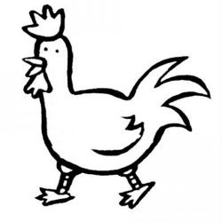 El gallo