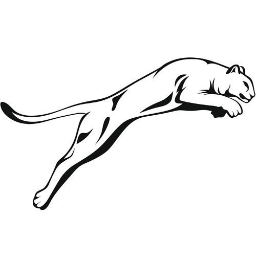 Adivinanza: Mi nombre lo leo