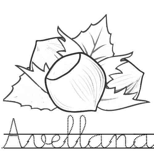 Adivinanza: Ave me llaman a veces