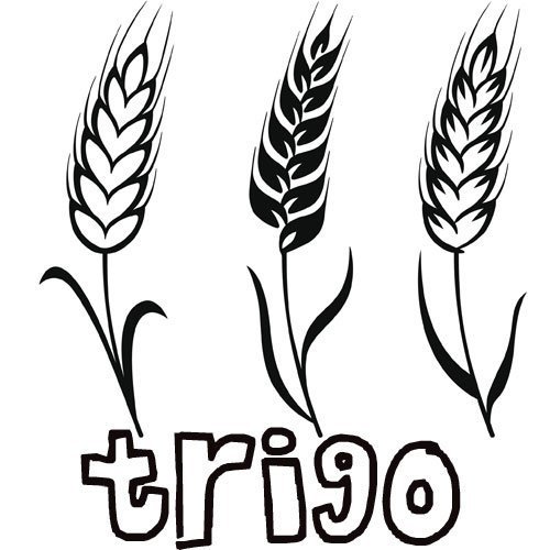 Adivinanza: Verde me crié, rubio me cortaron