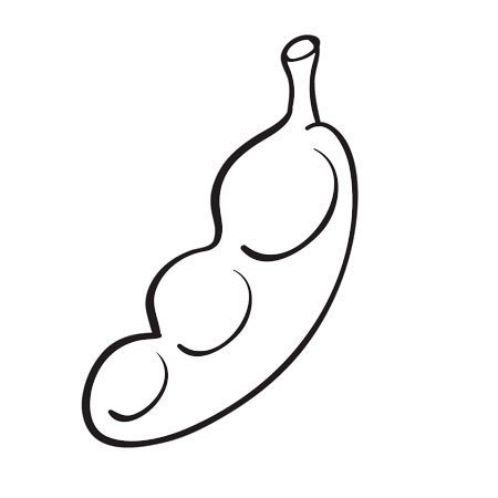 Adivinanza: Dentro de una vaina voy