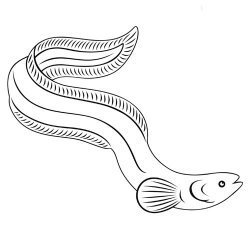 La anguila